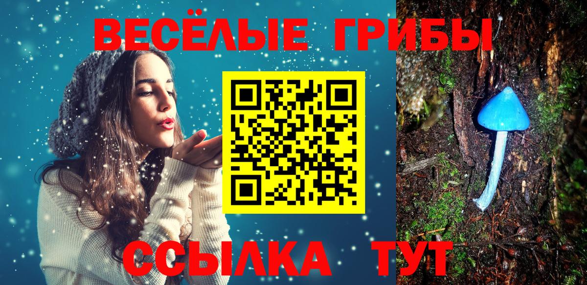 Скопин  Галлюциногенные грибы MAGIC MUSHROOMS  Вход с VPN  Галлюциногенные грибы мицелий 